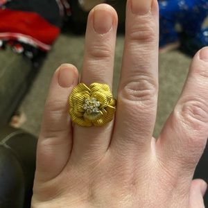 Premier designs ring